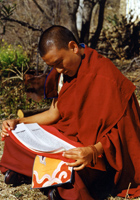 Geshe Tenzin Wangyal Rinpoche