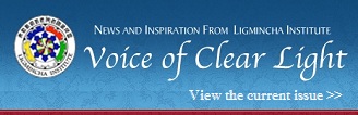 Free issue of the Voice of Clear Light Newsletter